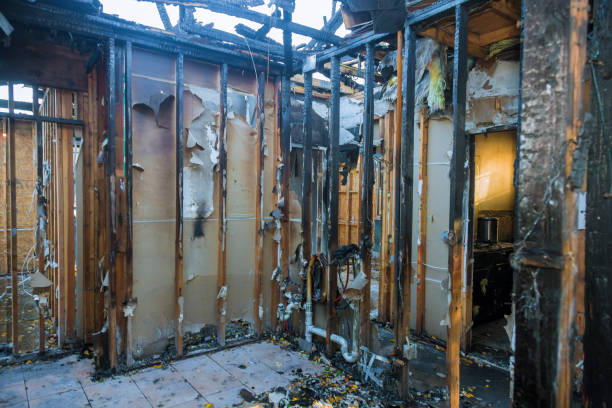 Professional Fire Damage Assessment technician working in Laguna Beach, FL